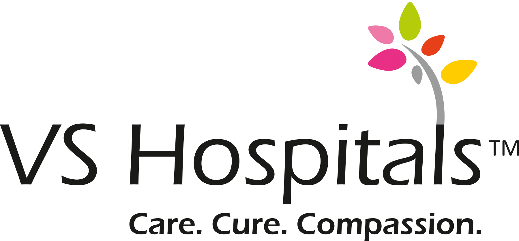 vs hospital logo image
